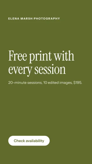 Olive Photography Studio Instagram Story